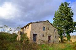 Casolare marchigiano Frasinella