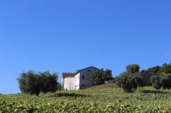 Casolare dei Girasoli