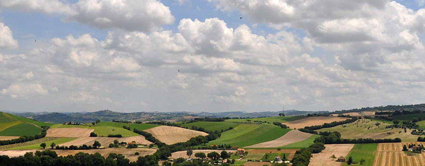 Panorama della campagna marchigiana