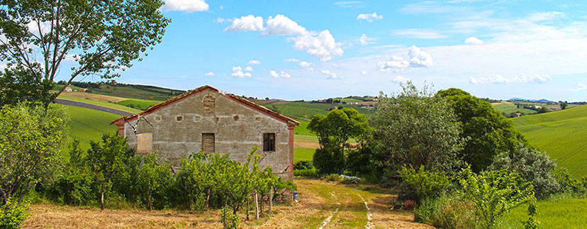 Farmhouses in the region Marche