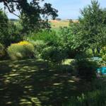 Farmhouse in the region Marche with swimming pool