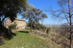 Casale dell'olivo a Cingoli