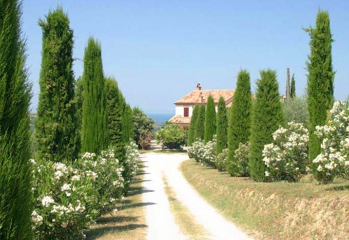 Casale dell'Aso a Campofilone, Farmhouse Aso near Campofilone