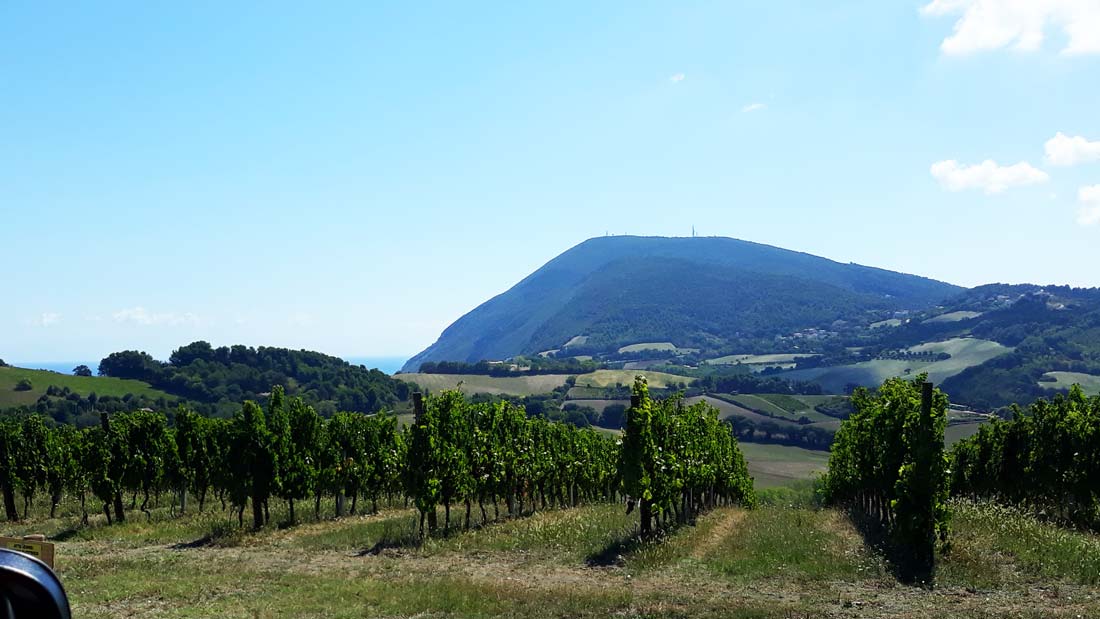 Panorama-da-Boranico