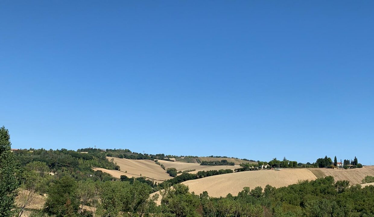 IMG-20200905-WA0004