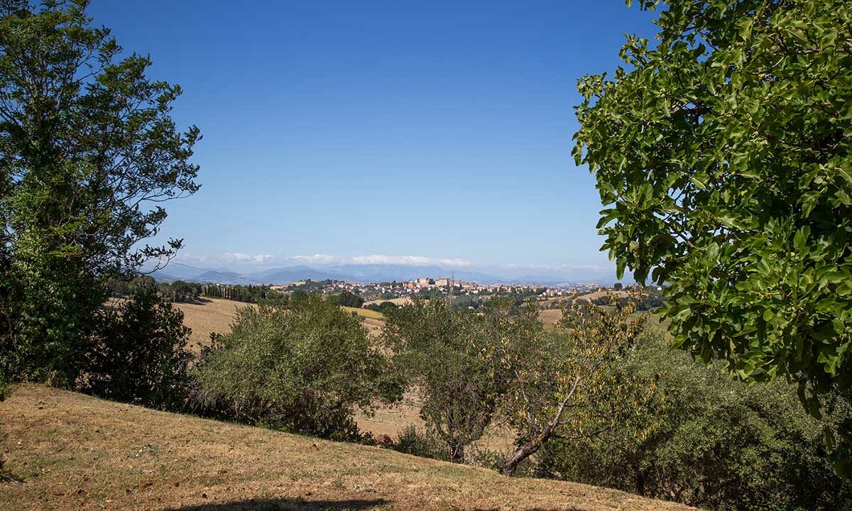 Casale-Senigallia-panorama-ostra