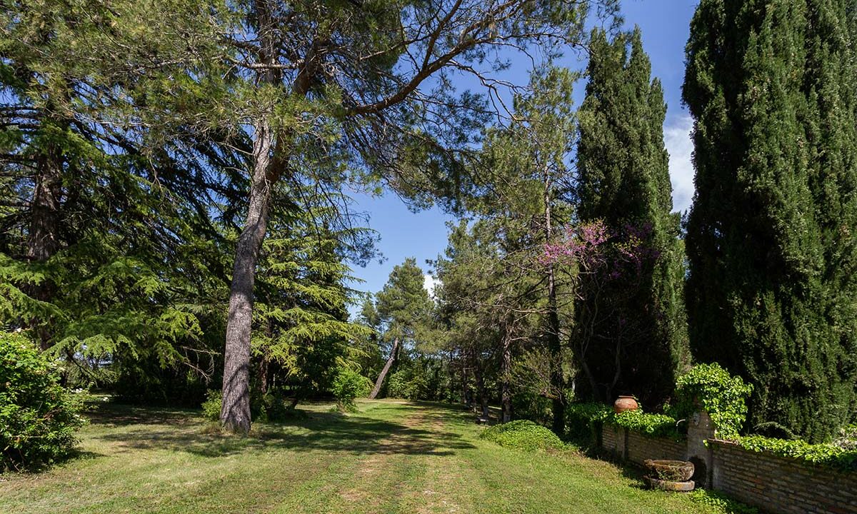 Villa-Nidastore-bosco