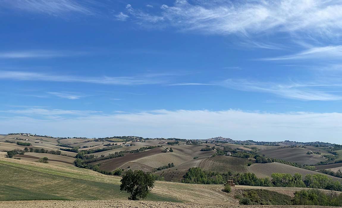 Panorama-casale-della-Lepre