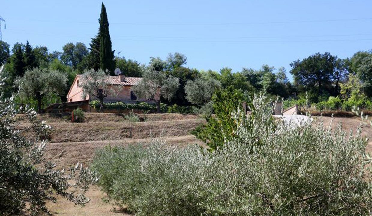 Cà delle Rose a Civitanova Marche MC