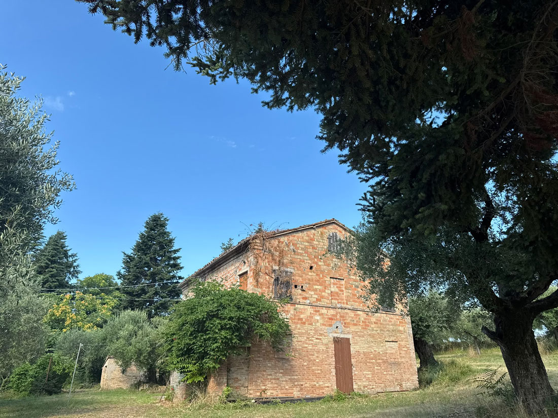 Il Poderino a Cingoli