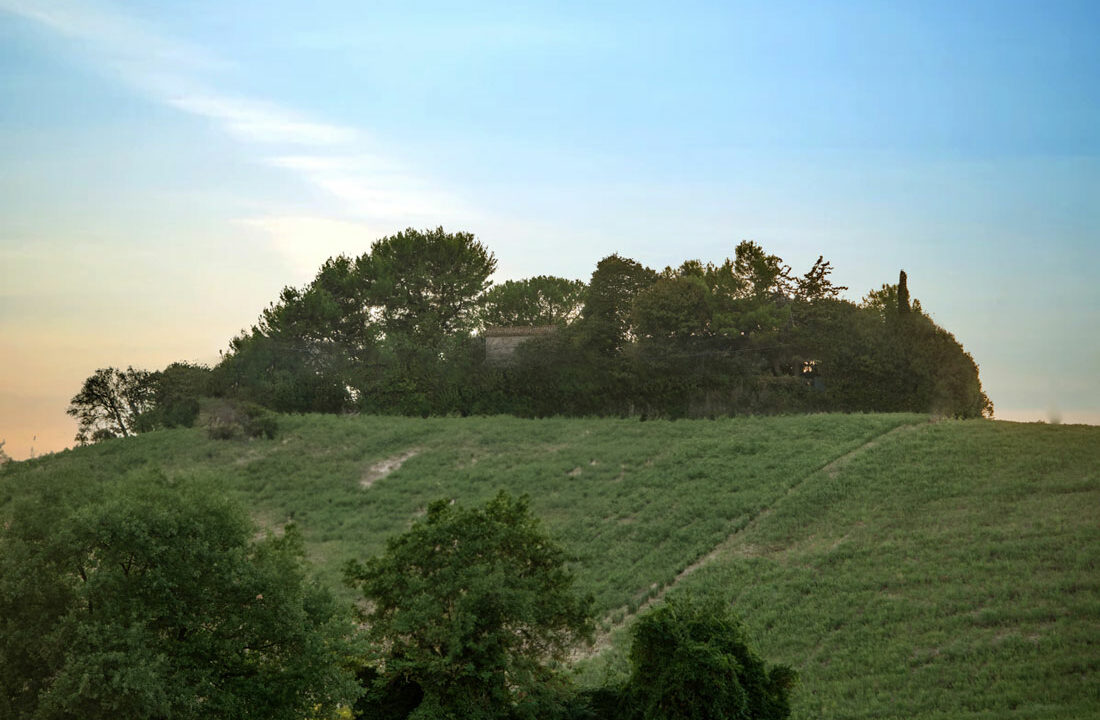 Casa-nel-bosco-cinquantaquattro