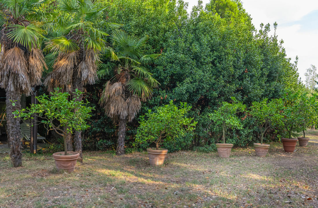 Casa-nel-bosco-quarantanove