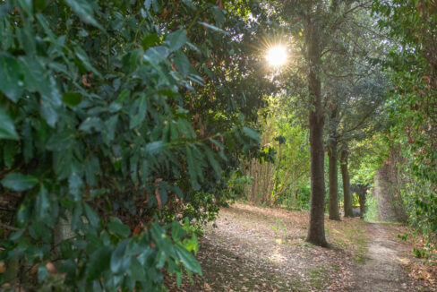 Casa-nel-bosco-quarantasei