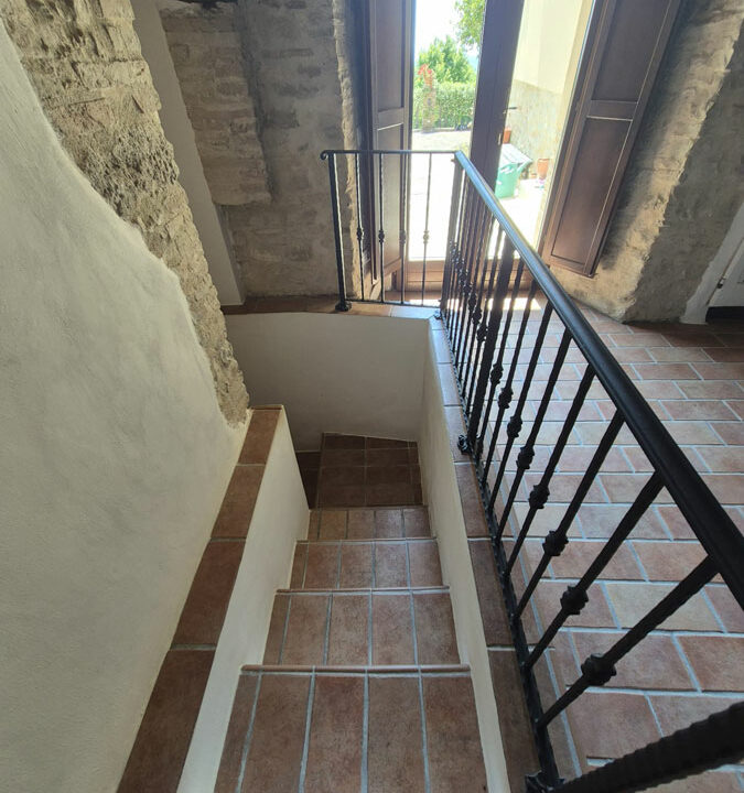 Avenale-dodici