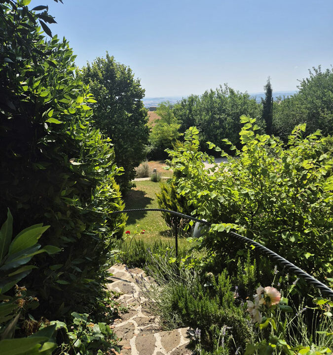 Avenale-trentaquattro