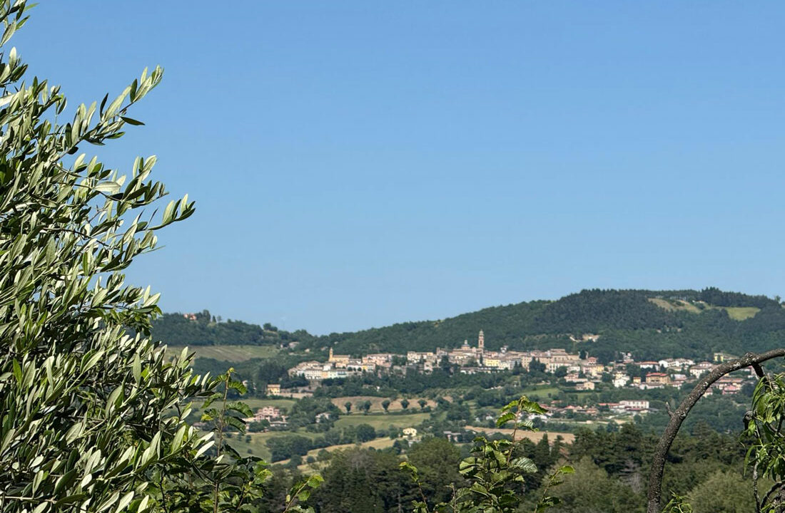 Poggio-san-Vicino-quindici
