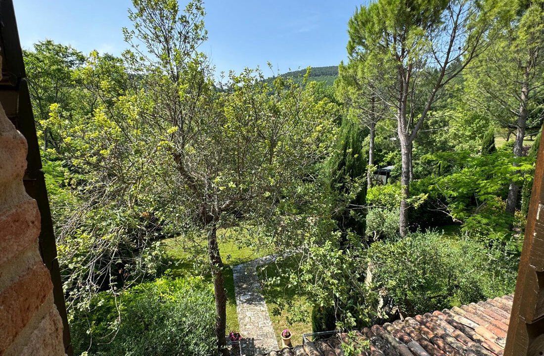 San-Lorenzo-cinquantasei