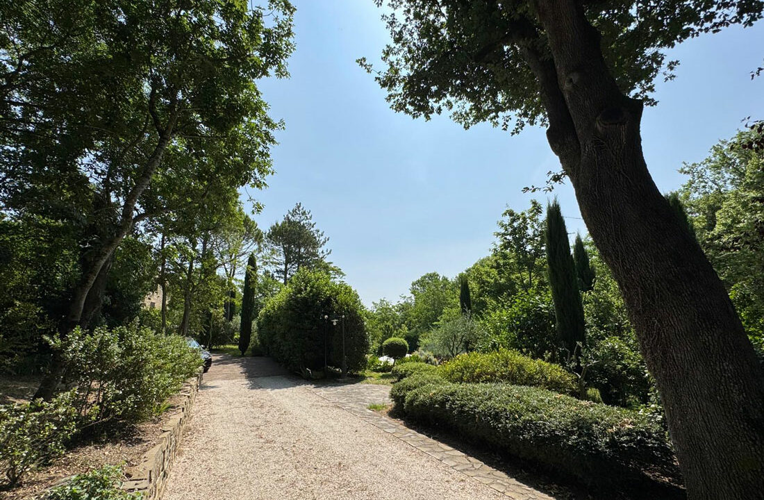 San-Lorenzo-ottantaquattro