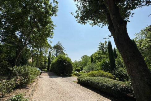 San-Lorenzo-ottantaquattro