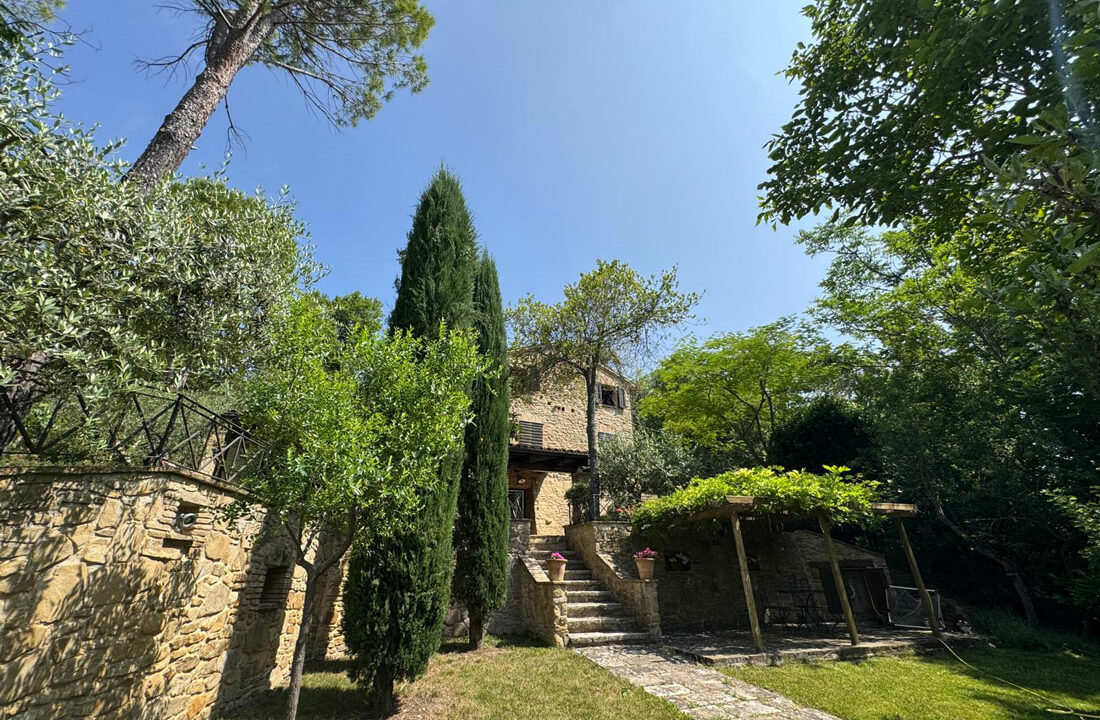 San-Lorenzo-ottantotto