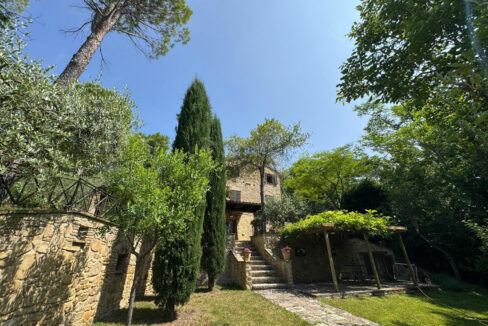 San-Lorenzo-ottantotto