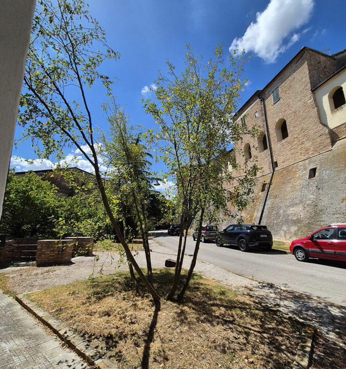 Morro-d'Alba-centro-due