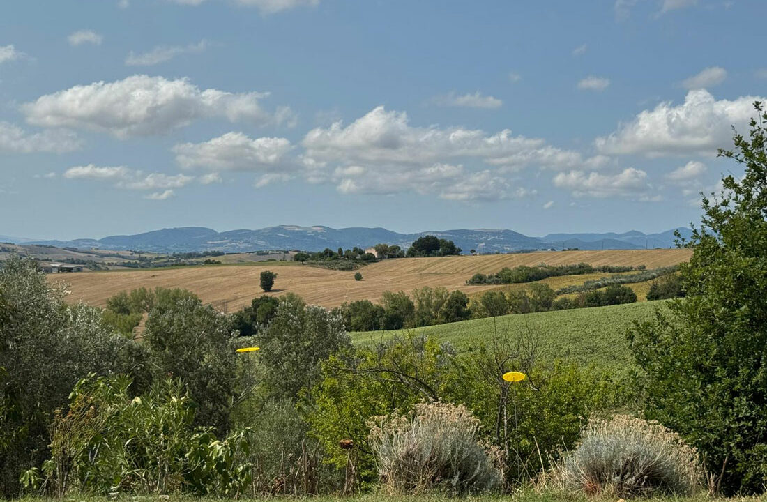 Santa-Maria-Nuova-diciassette