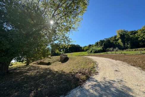 Villa-Torre-cinquanrtacinque