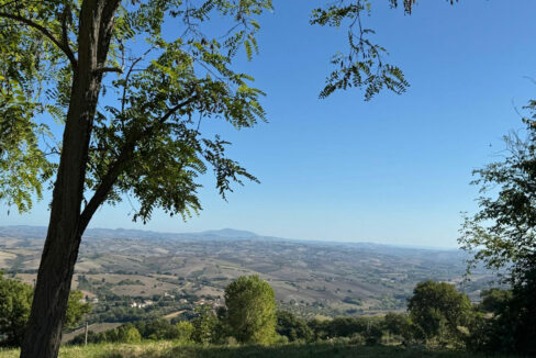 Villa-Torre-cinquantanove