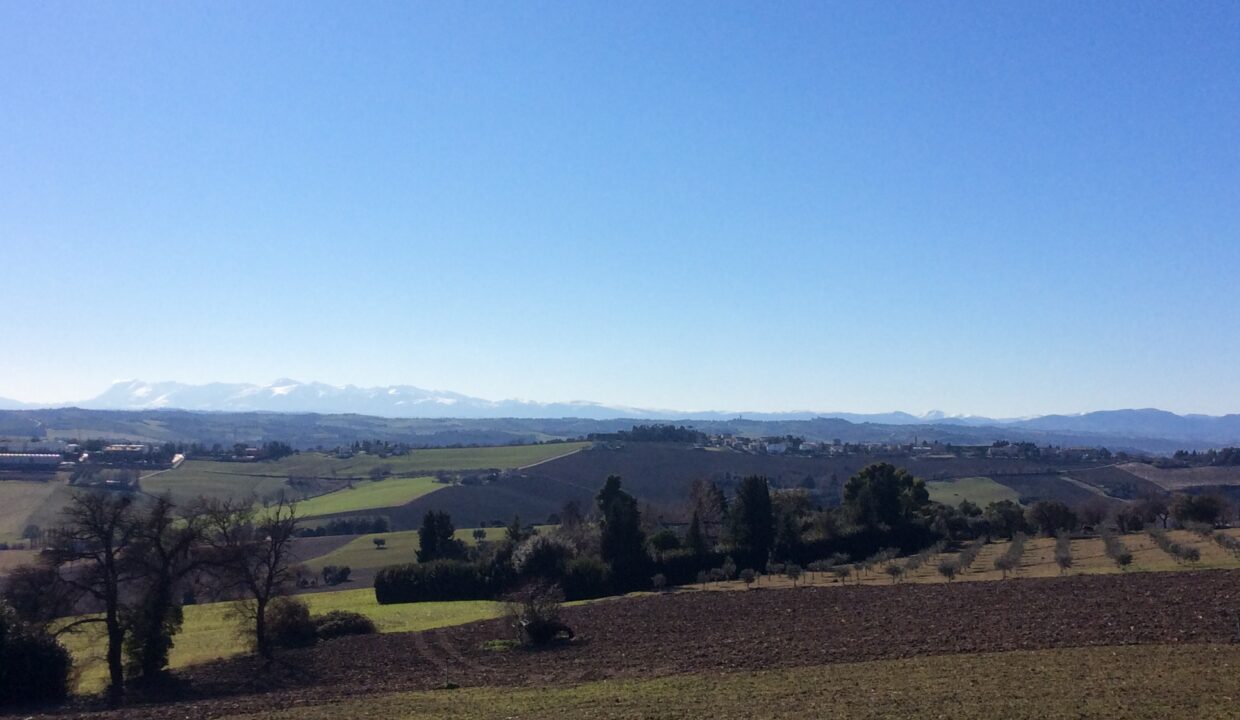 Panorama