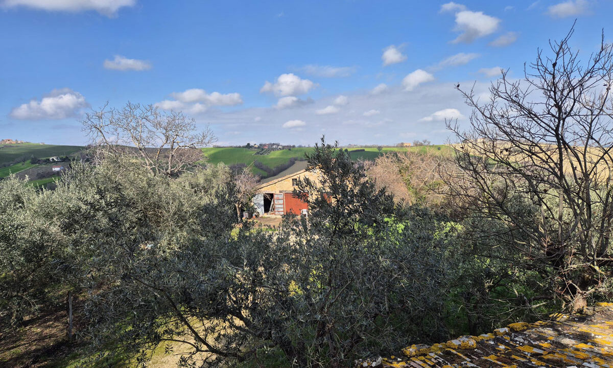 Castiglioni-bis-otto