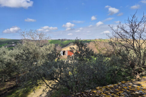 Castiglioni-bis-otto