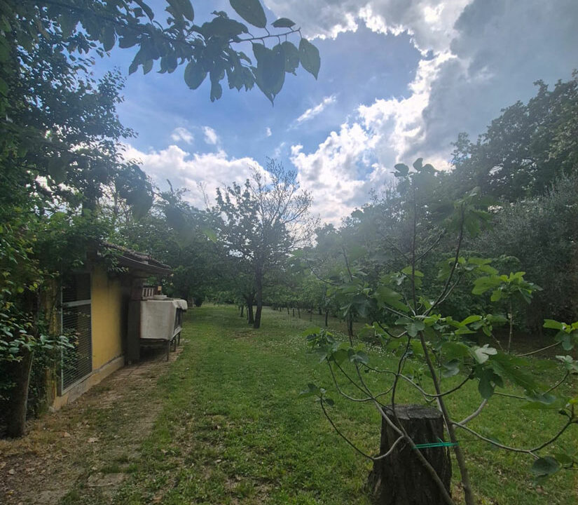 Monteguiduccio-diciannove