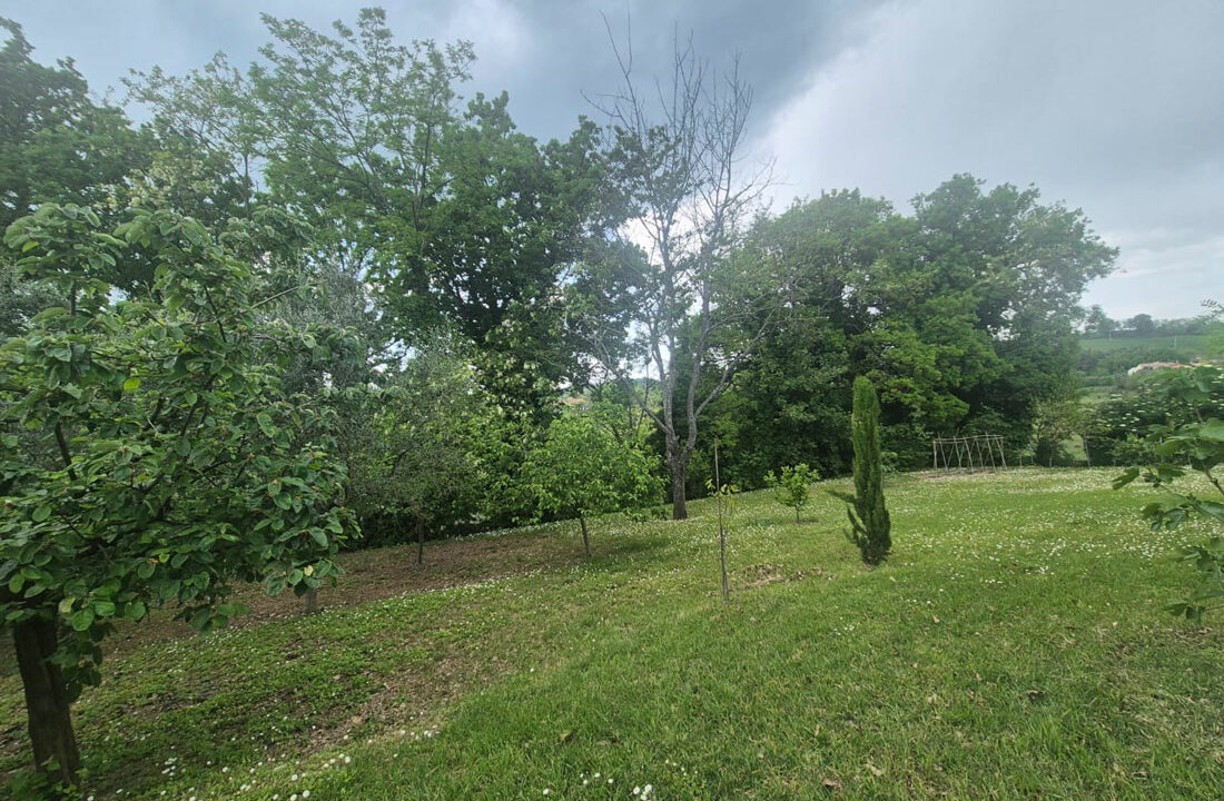 Monteguiduccio-dodici