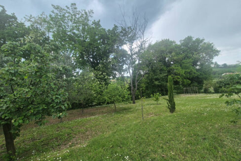 Monteguiduccio-dodici