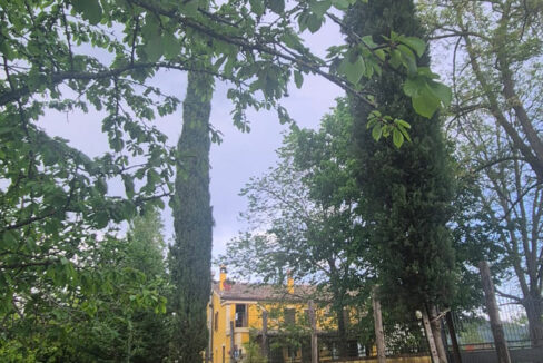 Monteguiduccio-quattordici