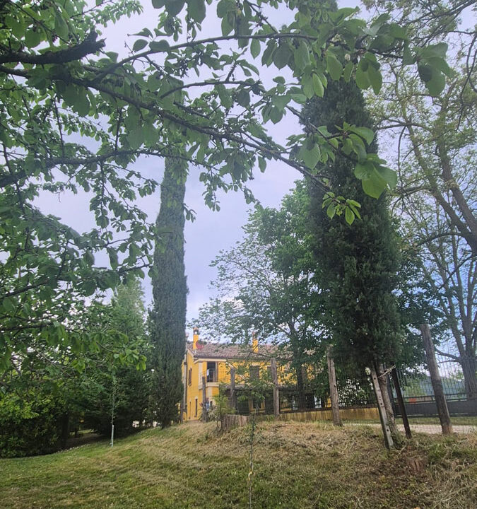 Monteguiduccio-quattordici