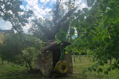 Monteguiduccio-quindici