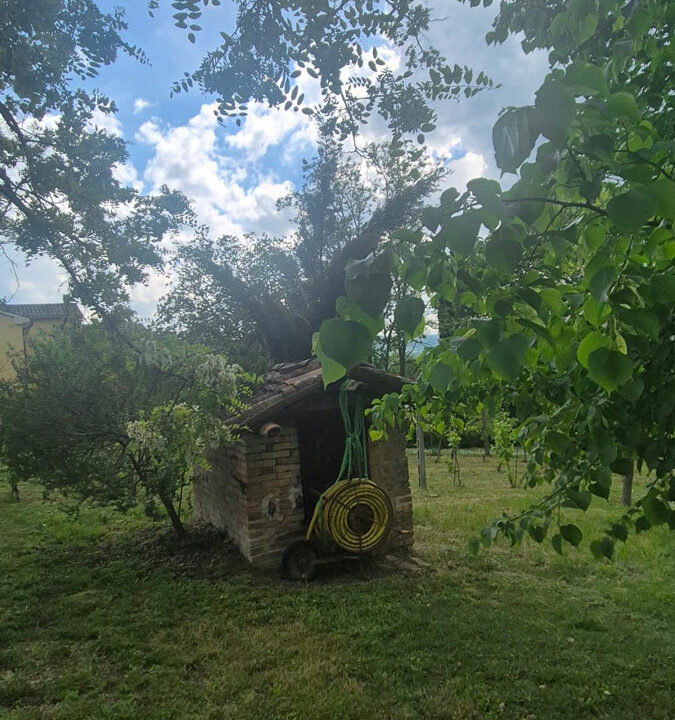 Monteguiduccio-quindici