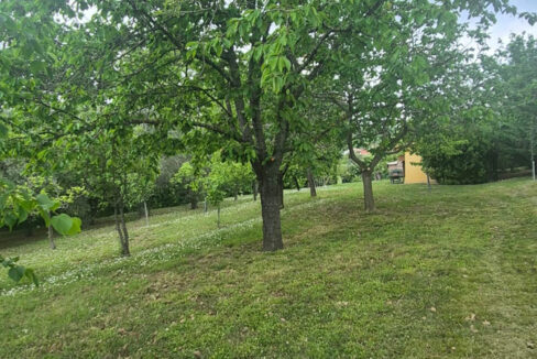 Monteguiduccio-sedici