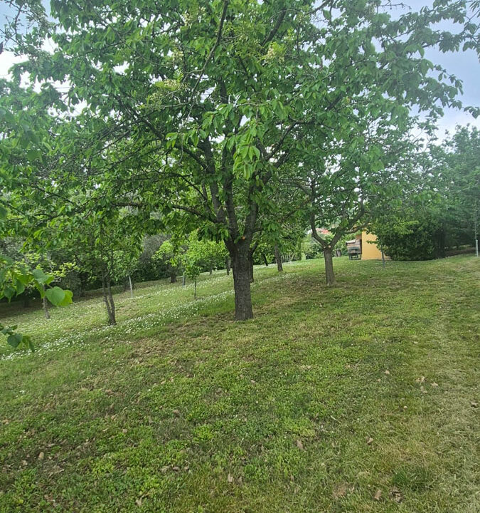 Monteguiduccio-sedici