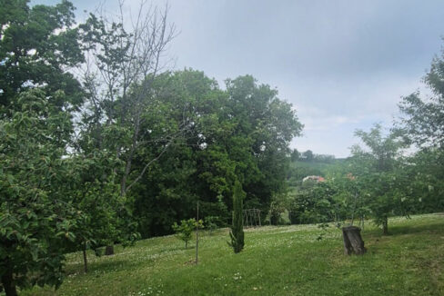 Monteguiduccio-tredici