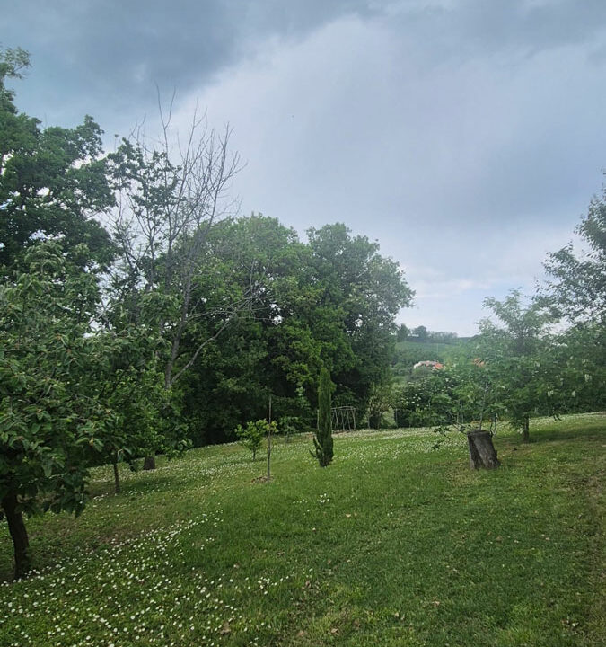 Monteguiduccio-tredici