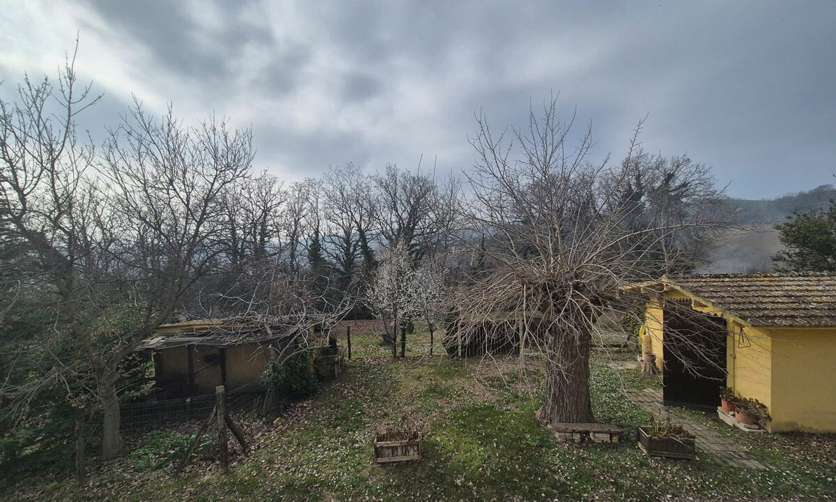 Monteguiducci-sedici