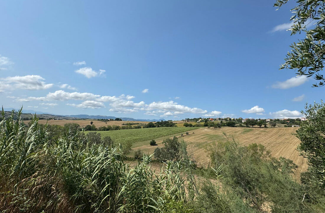 Santa-Maria-Nuova-Erika-ventotto