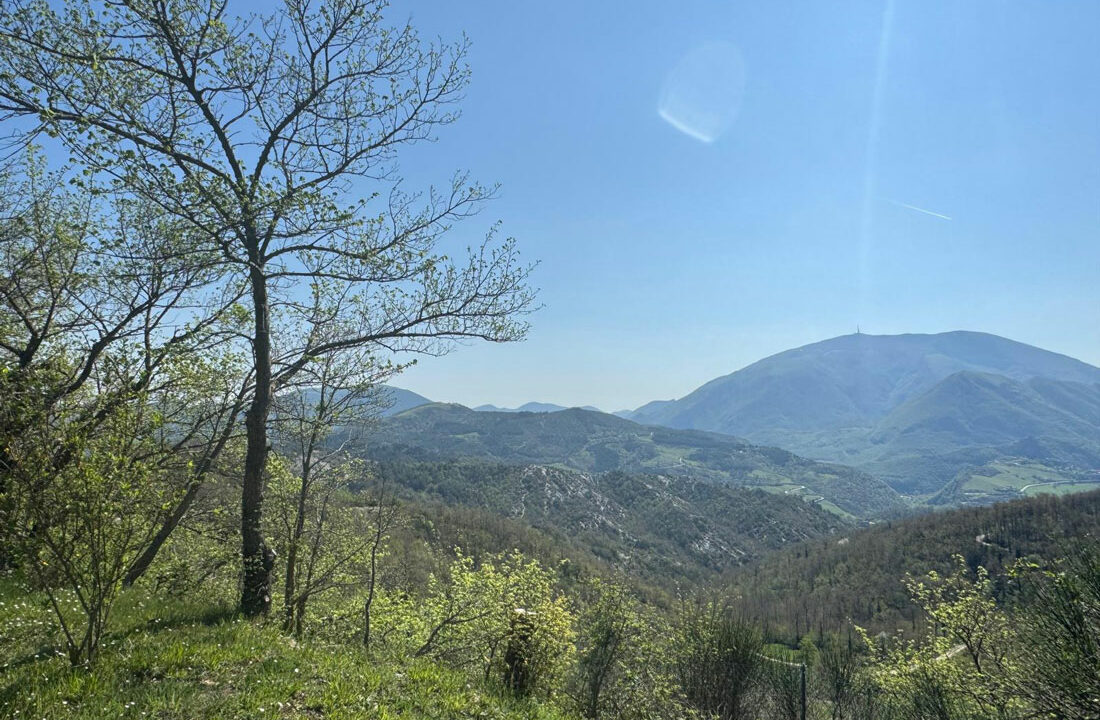 Apecchio-quarantaquattro