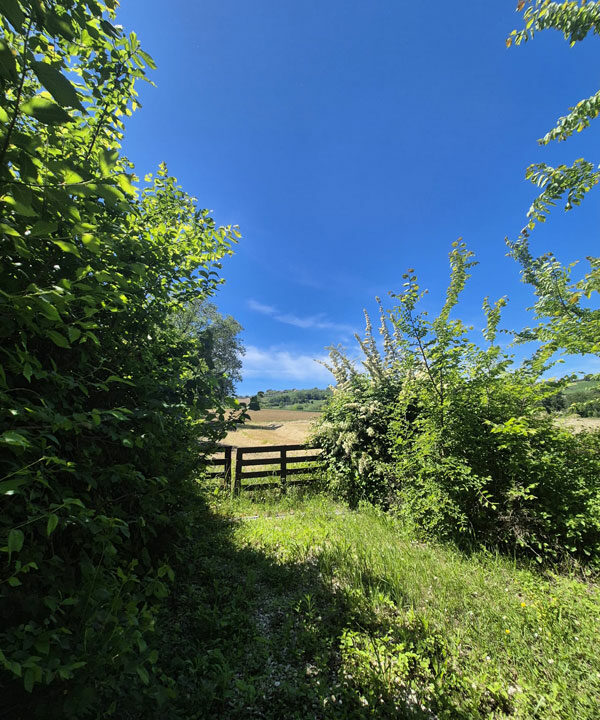 Cancello