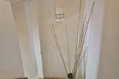 INTERNO-SEDICI-CORINAldo
