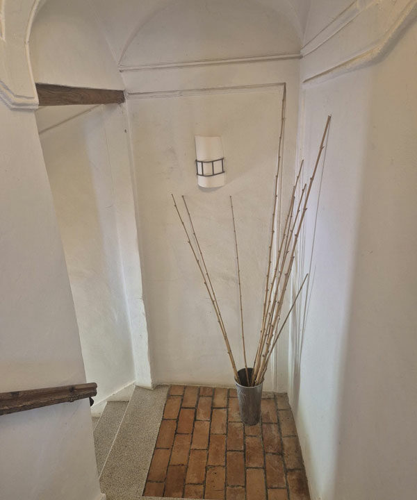 INTERNO-SEDICI-CORINAldo