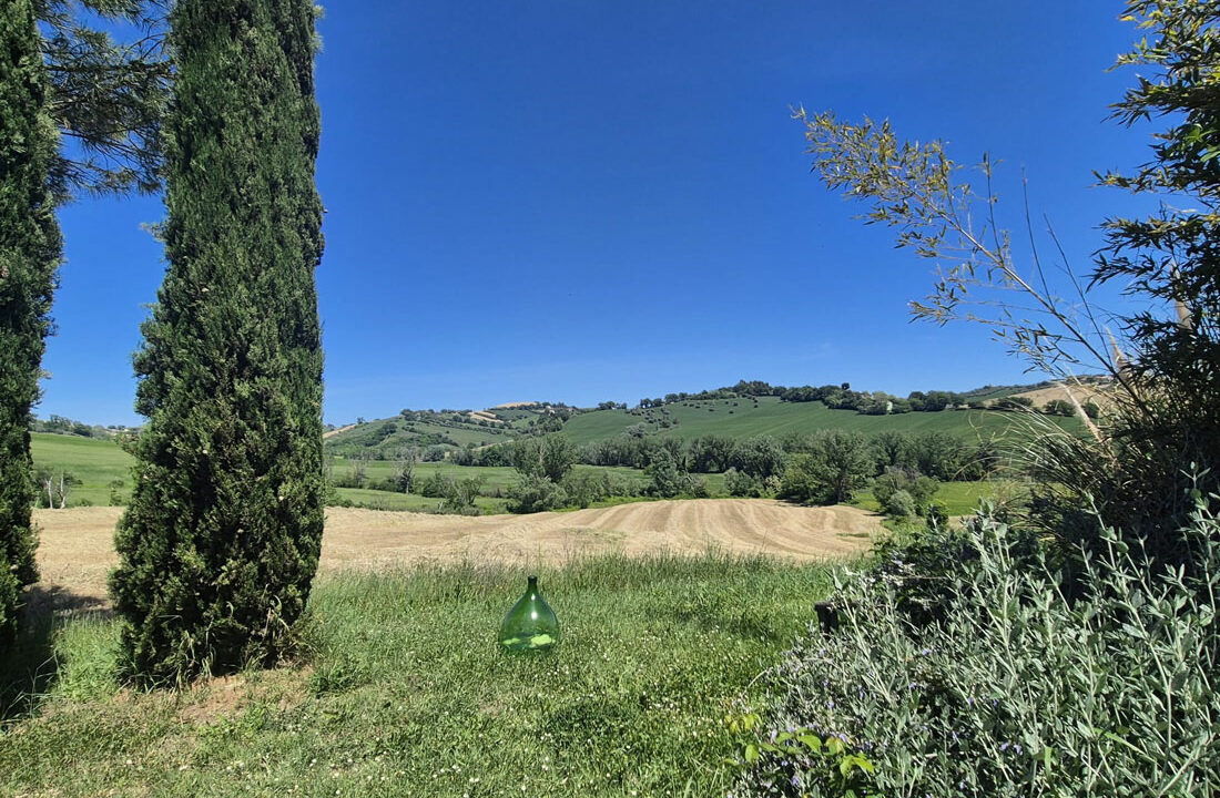 corinaldo-sette